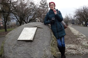 Оглядова екскурсія містом, Виноградів